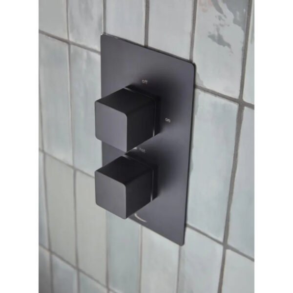 Tavistock Index Dual Function Concealed Shower System With Riser Kit And Overhead Shower - Image 2