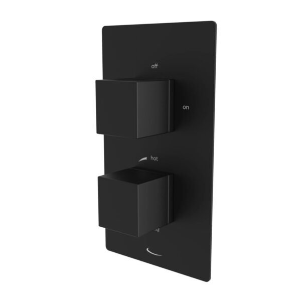 Tavistock Index Dual Function Concealed Shower Valve - Image 4