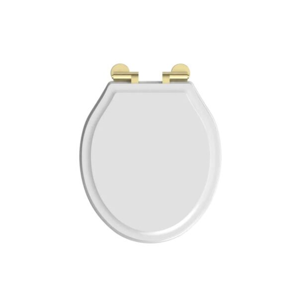 Tavistock Vitoria Painted Soft Close Toilet Seat With Hinges - Gloss White