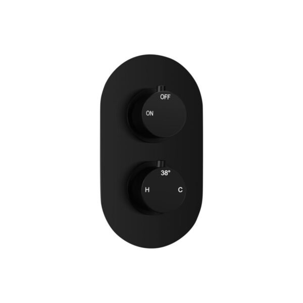 Trinity 1 Outlet Twin Shower Valve - Matt Black