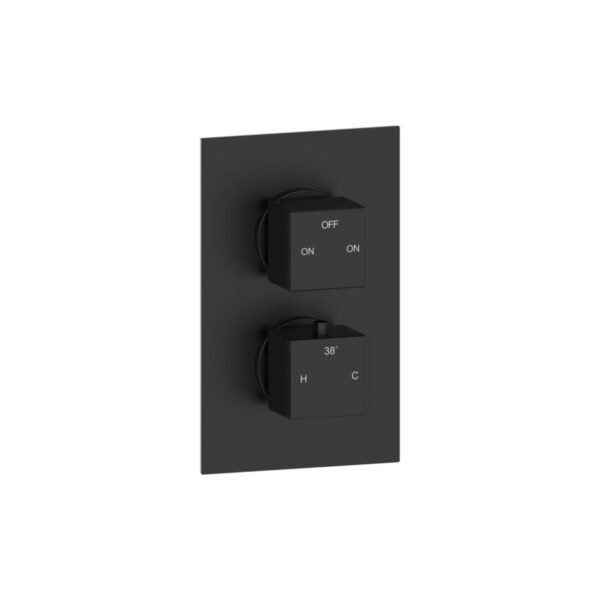 Trinity Drift Thermostatic 2 Outlet Twin Shower Mixer Valve