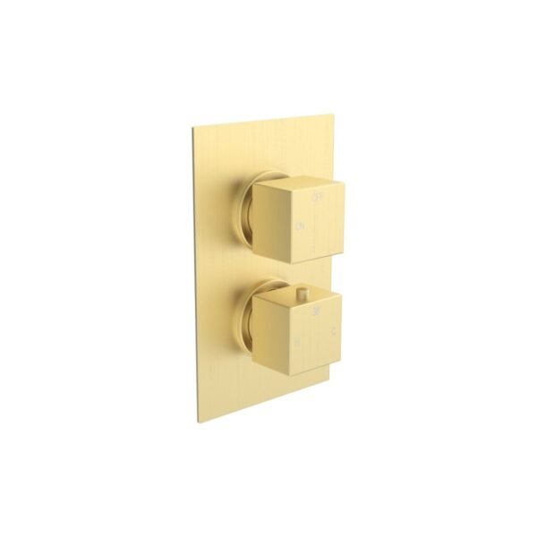 Trinity Aqua Square 2 Outlet Concealed Shower Kit - Image 6